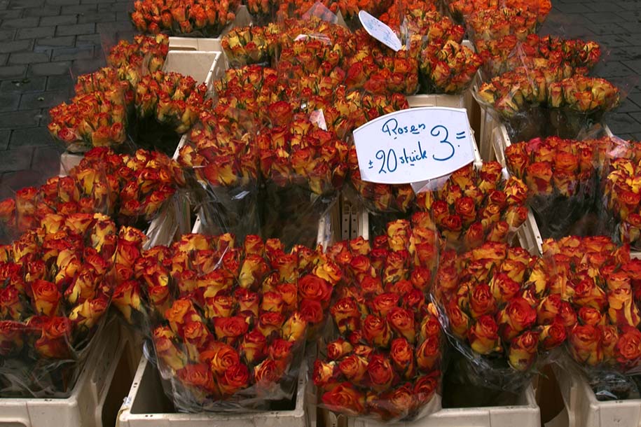 'Roses for Sale' (Oct 2004) - Bonn, Germany