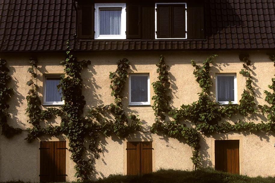 'Climbing Plants House' (Oct 1988) -  Tamm, West Germany