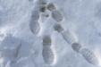 'Footprints in the Snow' (Mar 2010) - Hokkaido, Japan