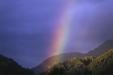 'Rainbow over the Hill' (Apr 1996) - Fox Glacier, New Zealand