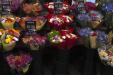 'Flowers for Sale' (Dec 2007) - Queen Victoria Market, Melbourne, Australia