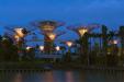 'Lighted Supertrees' (Jul 2012) - Gardens by the Bay, Singapore