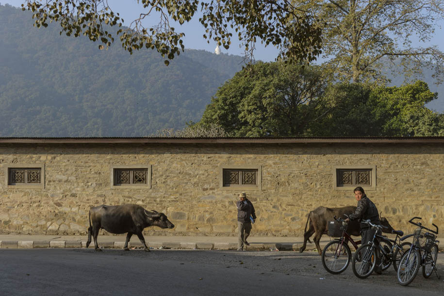 'Morning Stroll' (Dec 2009) - Kathmandu, Nepal